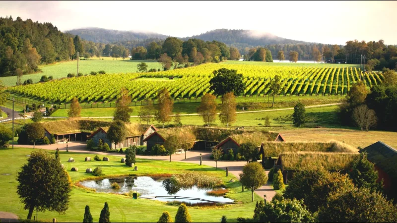 Nearby Farmland Areas – Open countryside scenery(5)