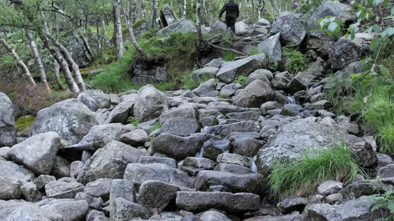 Nearby Fjord Roads – Scenic Access Drives(5)