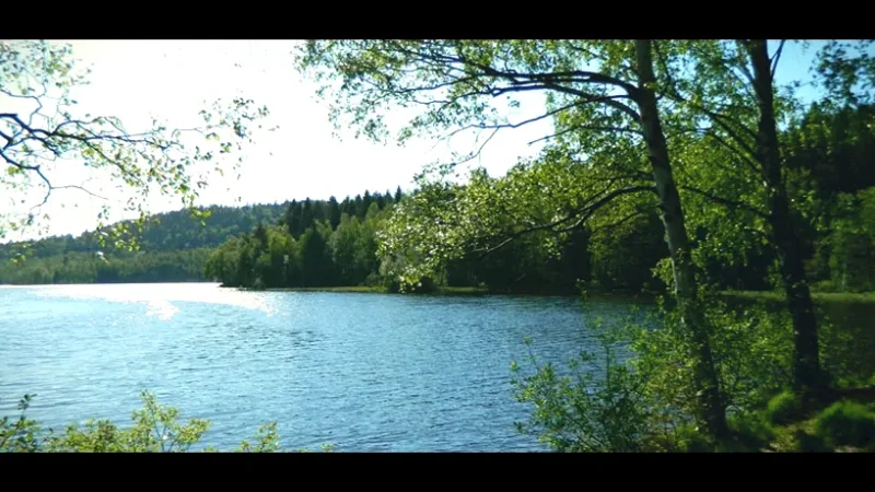 Nearby Nature Areas – Green escapes(2)