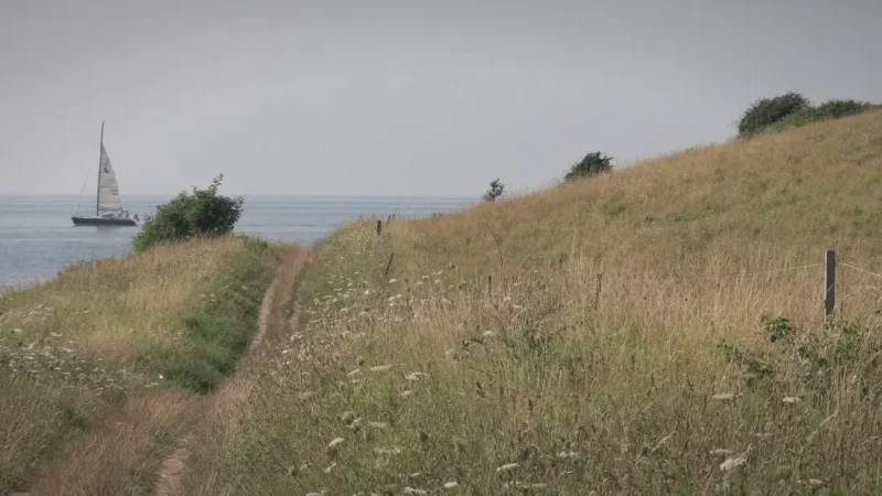 Nearby Nature Areas – Short walks(3)