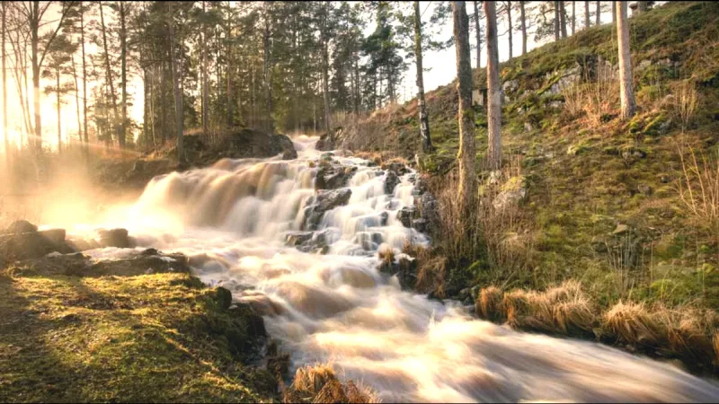 Nearby Nature Reserves – Green escapes(2)