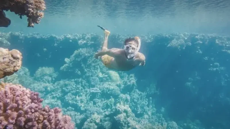 Nearby Reef Snorkeling Points – Short boat rides(2)