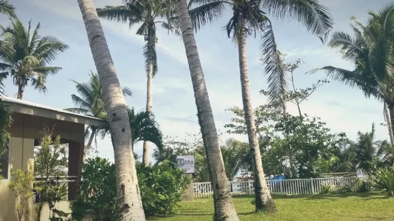 Nearby Resorts – Surf accommodation(3)