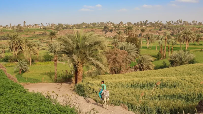 Nearby Village Paths – Local Surroundings(5)