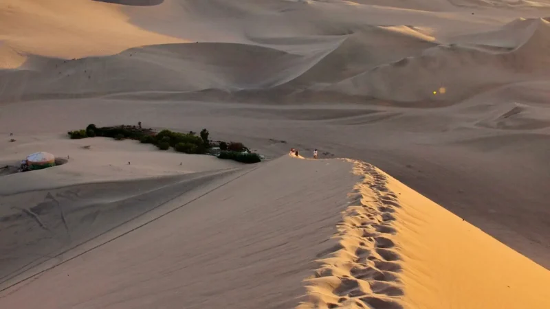 Nearby_Desert_Trails_–_Short_walking_routes__02