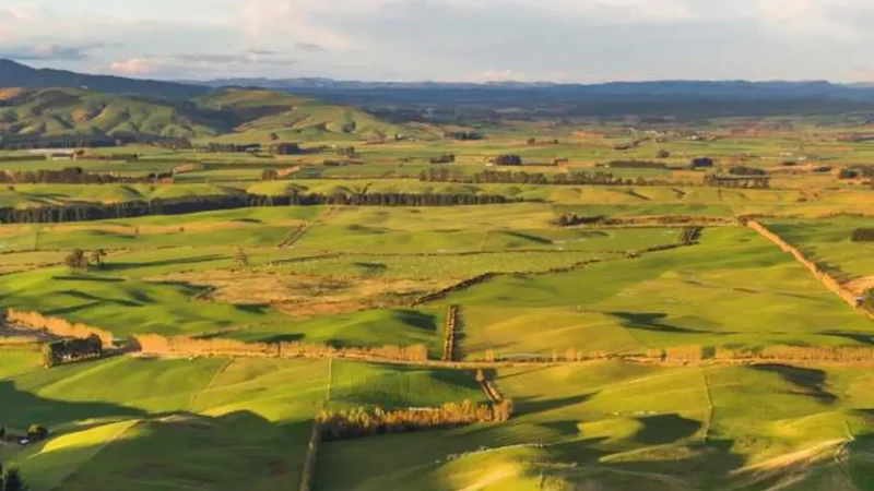 Nearby_Farmland_Views_тАУ_Open_countryside_scenery_04