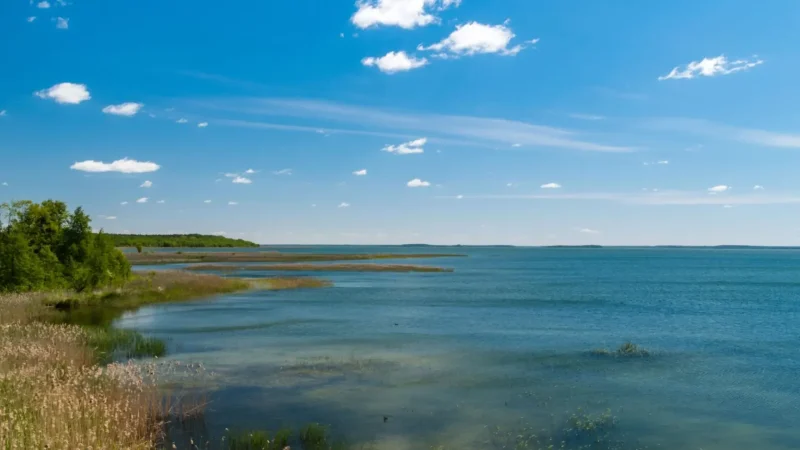 Nearby_Lake_Śniardwy_02