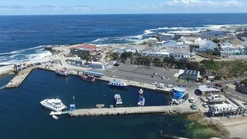 New_Harbour_тАУ_Fishing_boats_and_restaurants_02