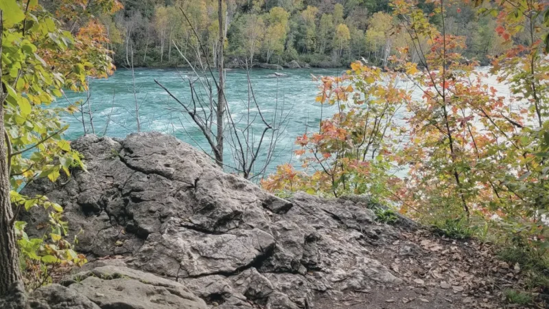 Niagara Glen – Hiking & river views(3)