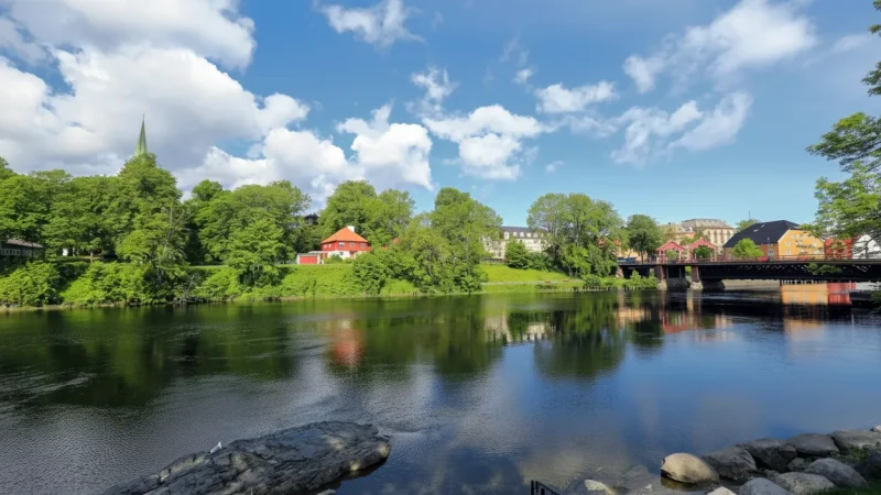 Nidelva River Walk – Scenic riverside paths(5)
