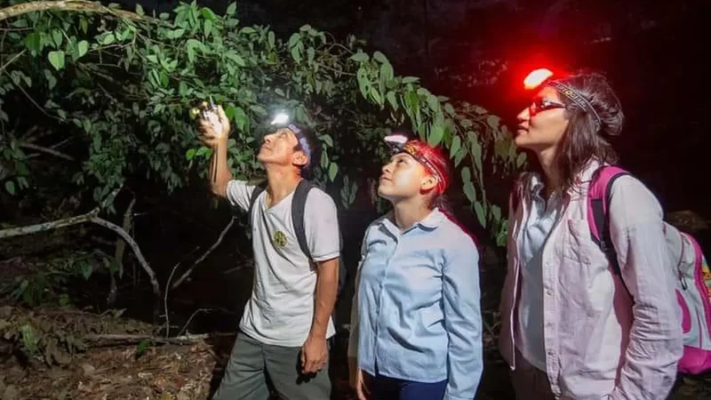 Night_Safari_Routes_–_Nocturnal_wildlife_walks__05