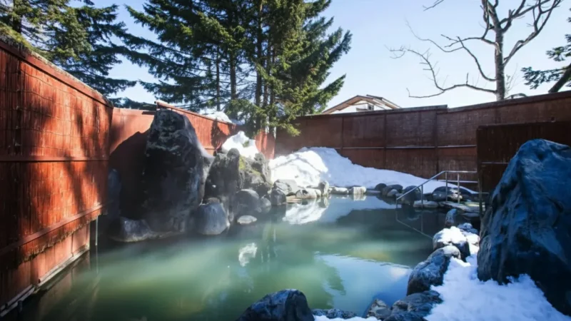 Niseko Onsen Village(2)