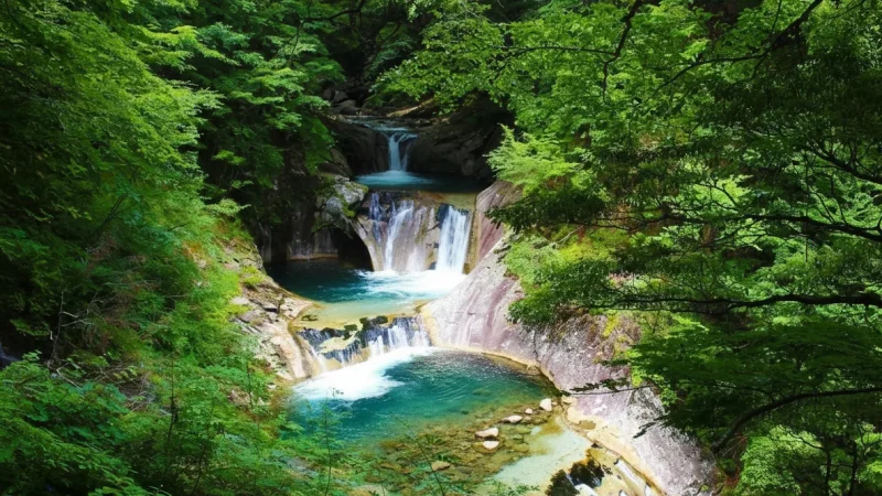 Nishi-Itaya Forest Trail(1)