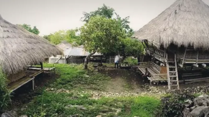 Noelbaki Village(2)