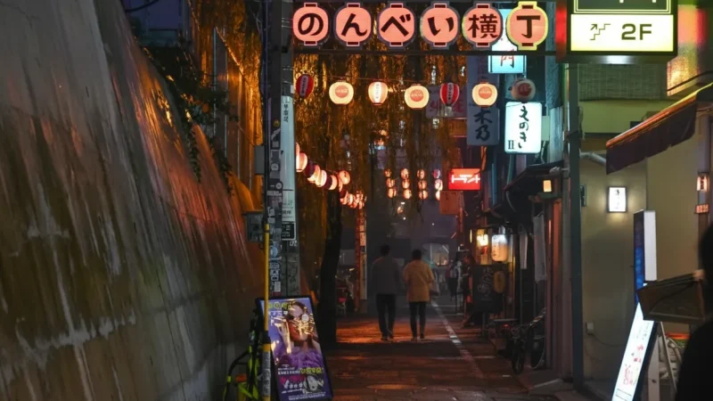 Nonbei Yokocho(3)