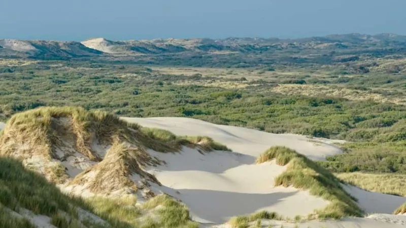 Noordduine_Nature_Reserve_04
