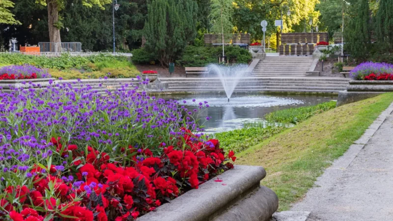 Noorderplantsoen_Park_01