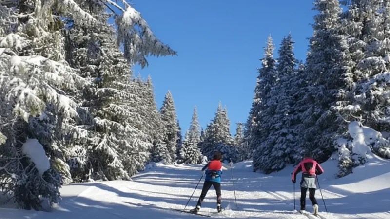 Nordseter – Forest Walks & Outdoor Trails(3)