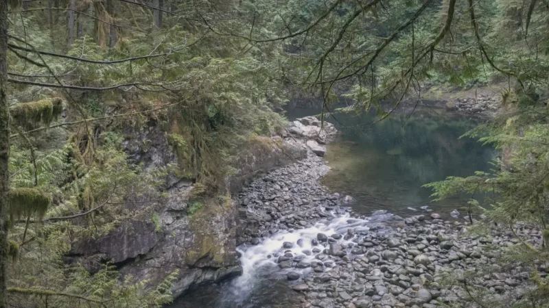 North Vancouver Forest Parks – Nature spaces(4)