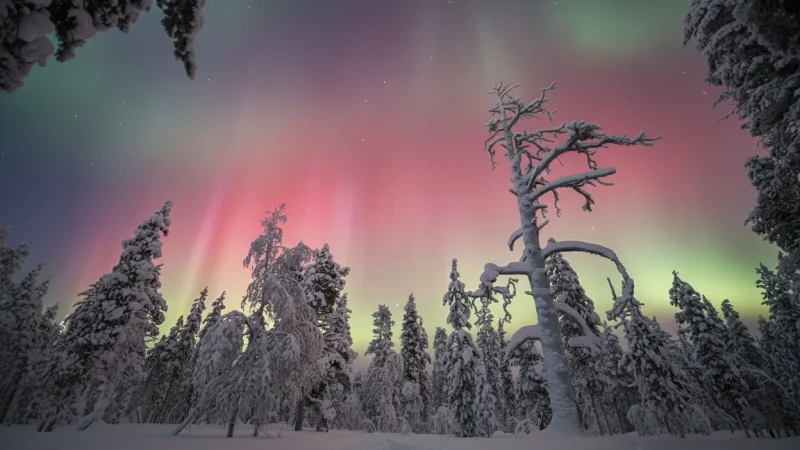 Northern Lights Viewing Areas – Aurora Observation Spots (Alta Region)(5)