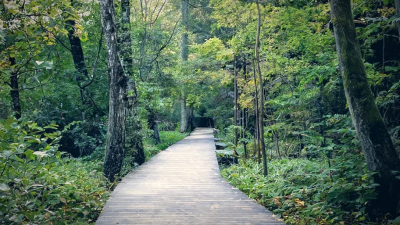 Northern Park(1)