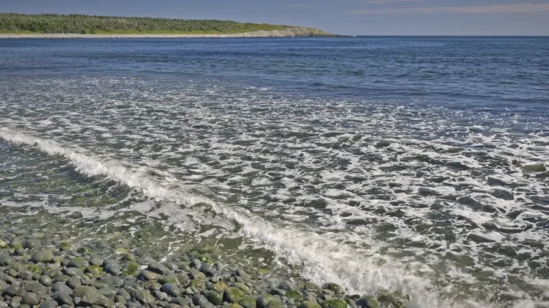 Northern Peninsula Coast – Rugged shoreline views(6)