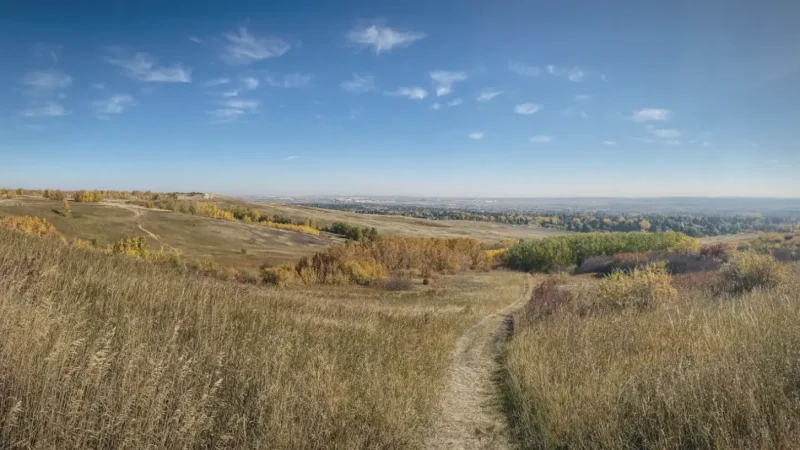 Nose Hill Park(4)