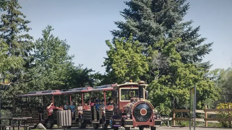 Nutrien Playland – Family recreation area(2)