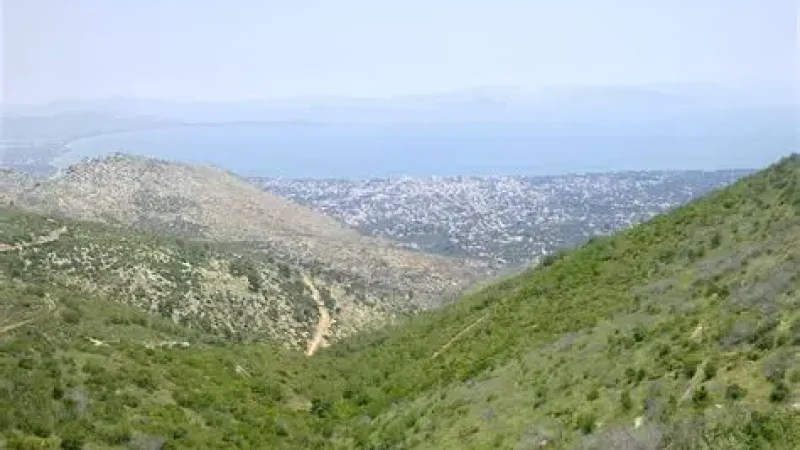 OIP