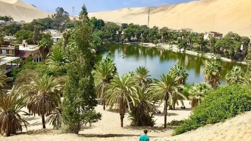 Oasis_Walking_Paths_–_Easy_walks_around_the_lagoon__01