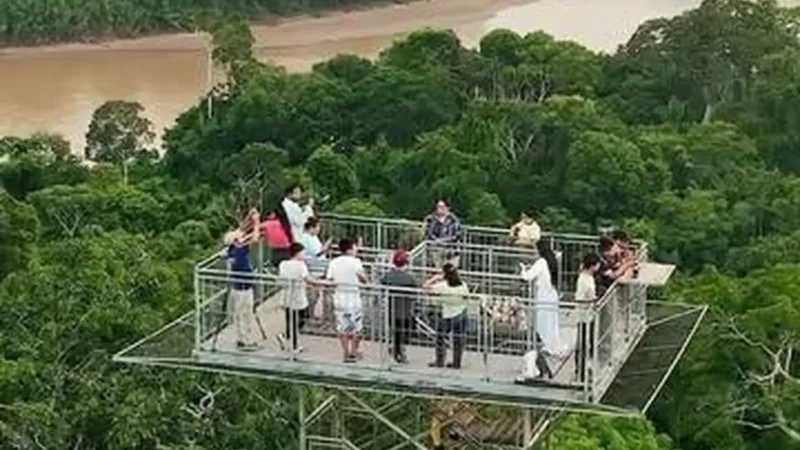 Observation_Platforms_–_Elevated_wildlife_viewing__04