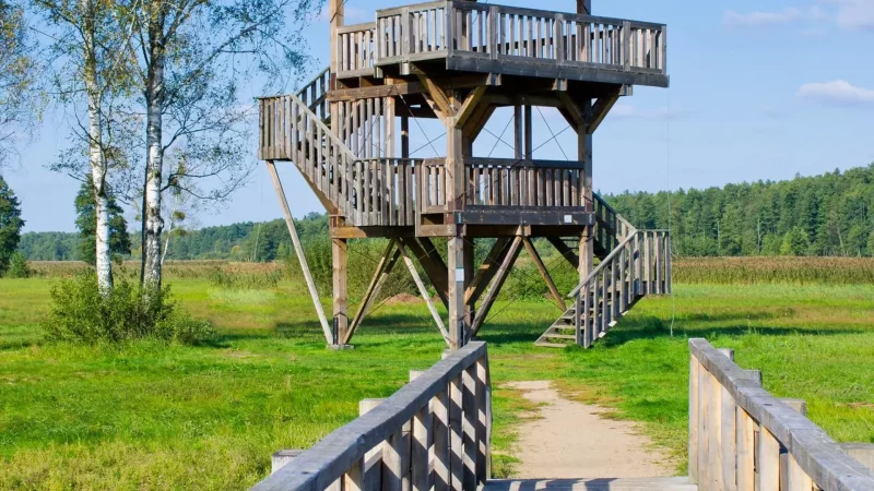 Observation_Towers_06