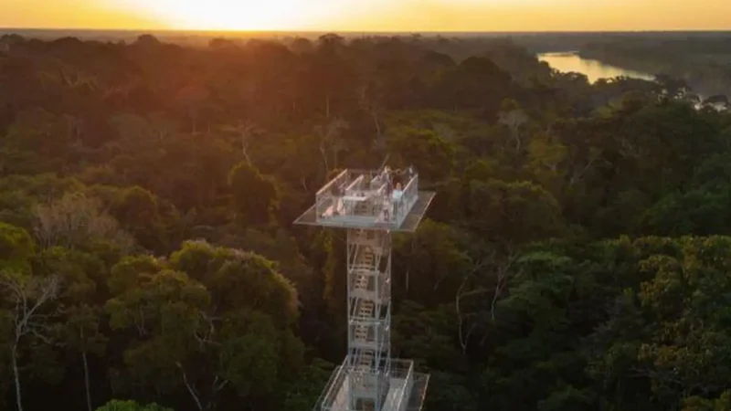 Observation_Towers_–_Elevated_wildlife_viewing__01