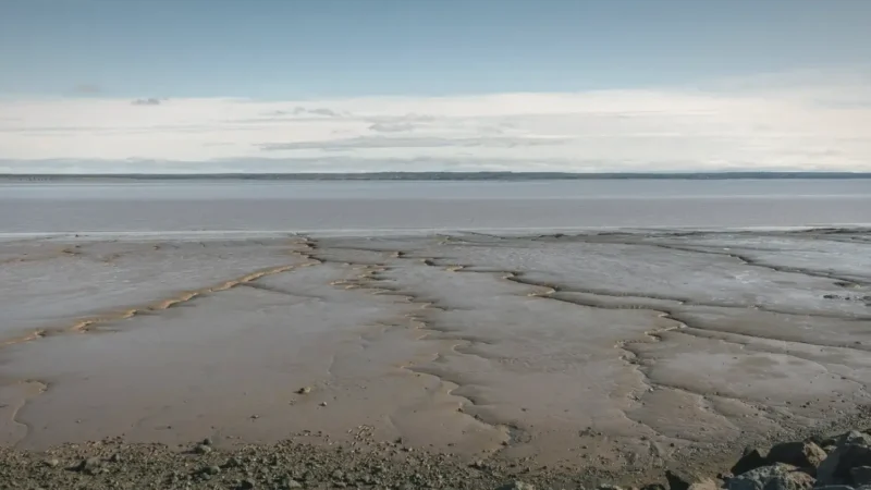 Ocean Floor Walk Areas – Low-tide exploration zones(6)