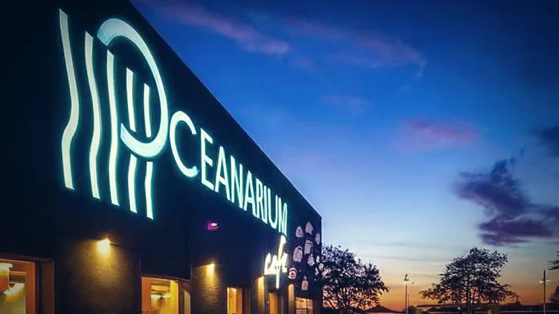 Oceanarium(3)