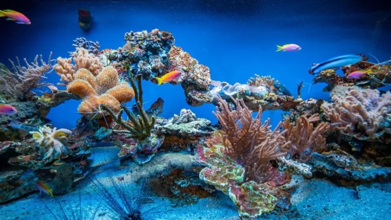 Oceanarium_07