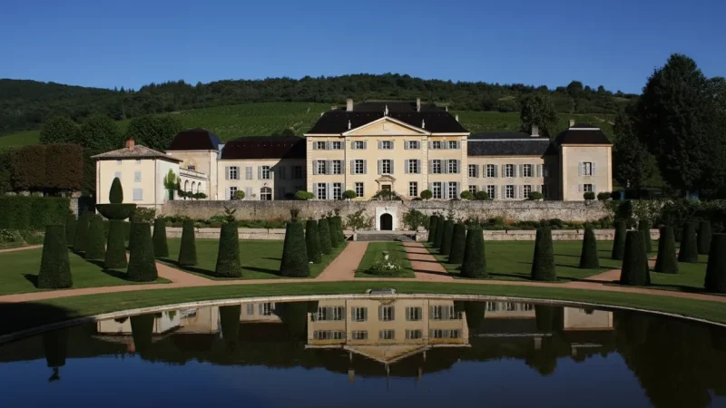 Odenas – Beaujolais Vineyards(5)