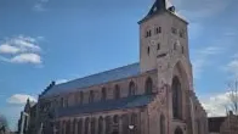 Odense Cathedral – Historic Gothic church(3)