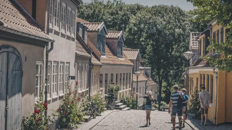 Odense Old Town – Cobblestone streets and houses(4)