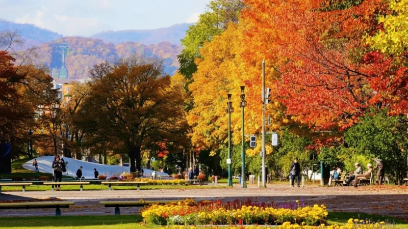 Odori Park – Sapporo(2)