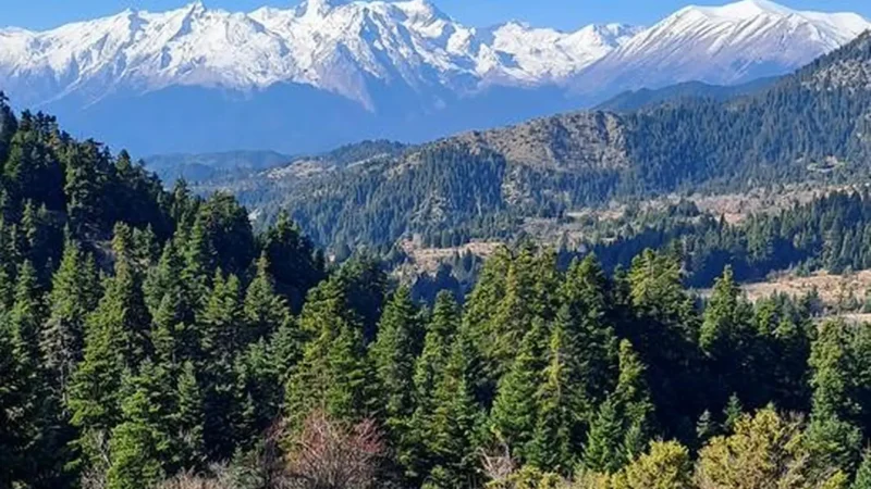 Oiti_National_Park_05