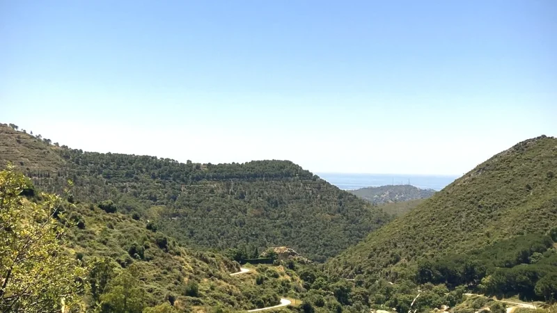 Ojén(5)