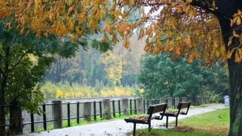 Olomouc City Parks(6)