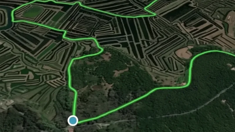 Olonne Forest – Cycling & hiking(6)