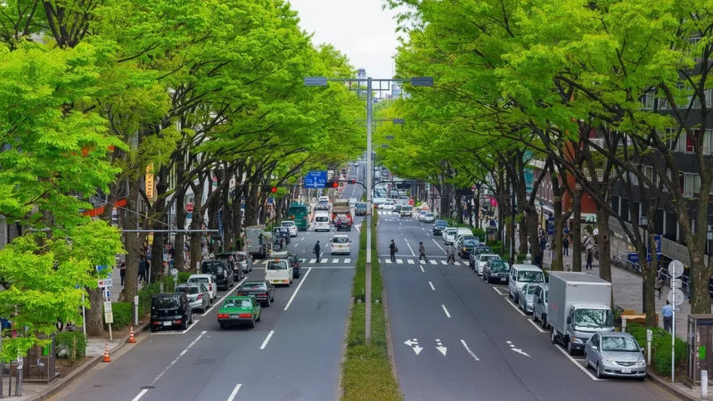 Omotesando Avenue(2)