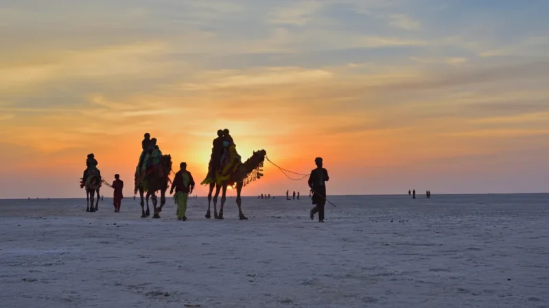 Open Horizon Viewpoints – Endless Desert Views(4)