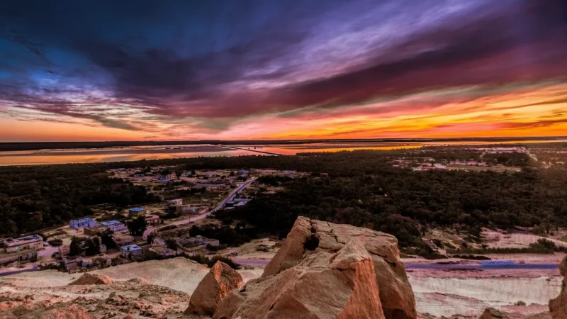 Open Oasis Landscapes – Wide Green Scenery(6)