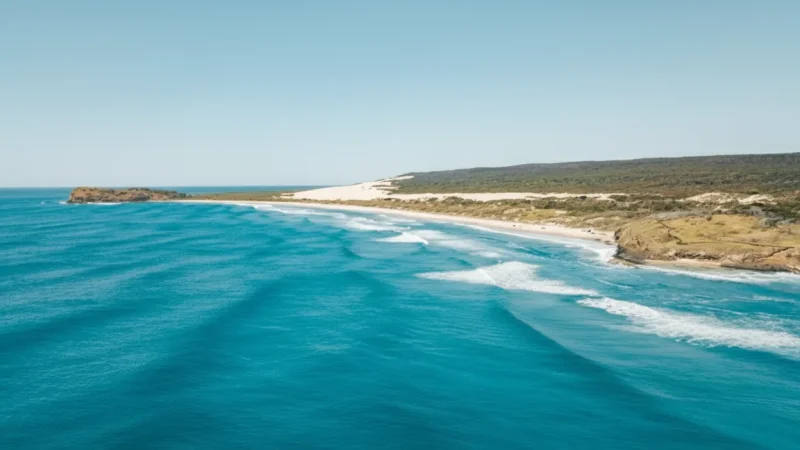 Orchid Beach(5)