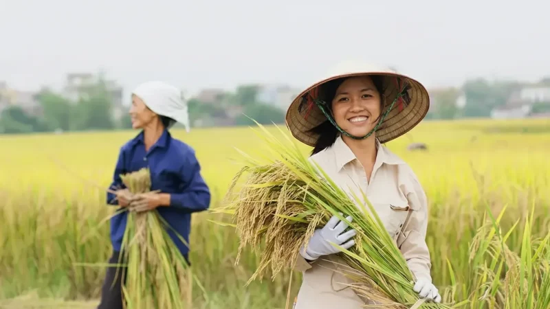 Organic Vegetable Farms (Củ Chi)(3)