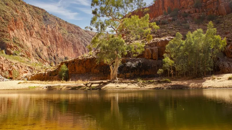 Ormiston Gorge – Waterhole & Walks(1)